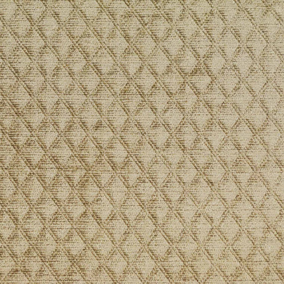 C SAN TELMO Nougat    (Stb)