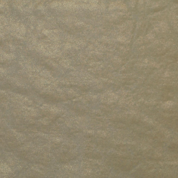 C POLAR Patina