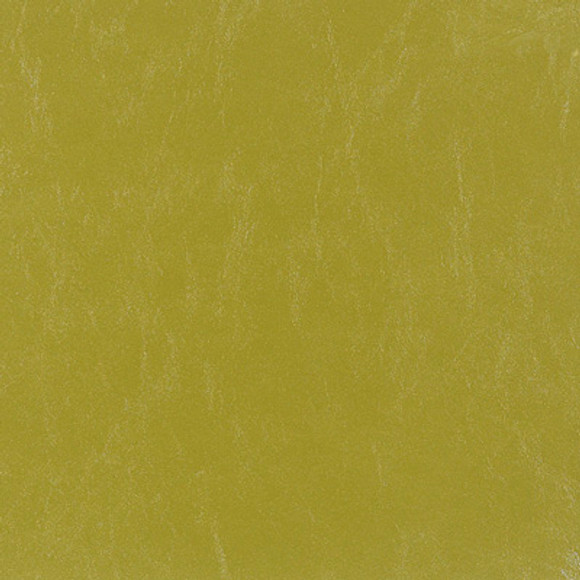 AERIAL Kiwi AERIAL Kiwi