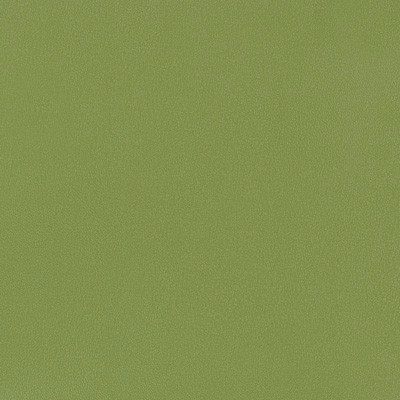 FLIGHT DECK Palmetto