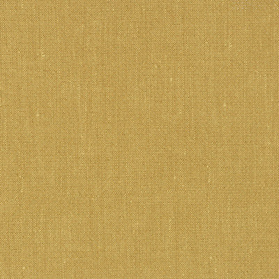 HANGER Cornsilk   (Tps)