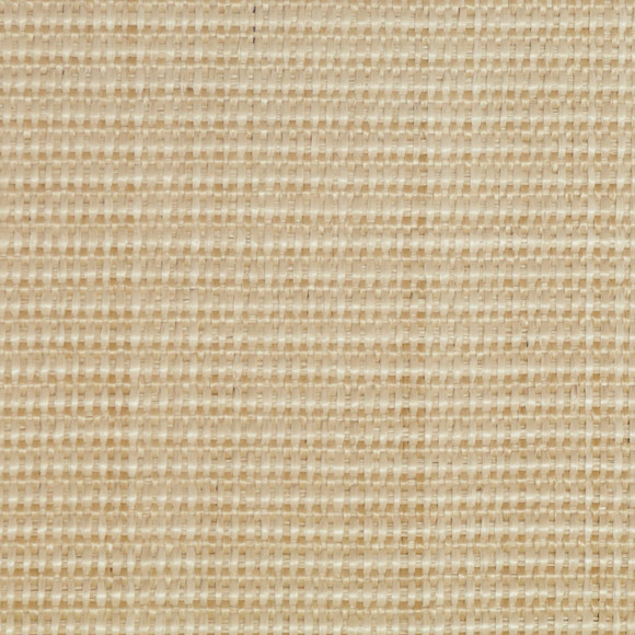 C DAKAR Straw
