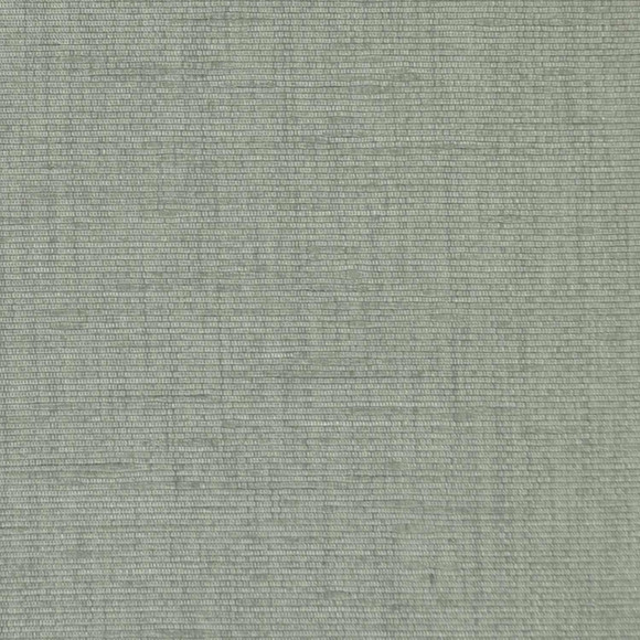 C FANELLI Robins Egg