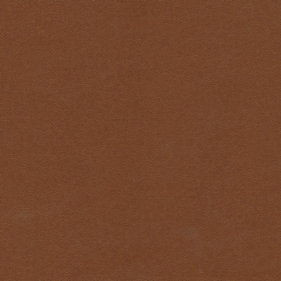 MISSOULA Terra