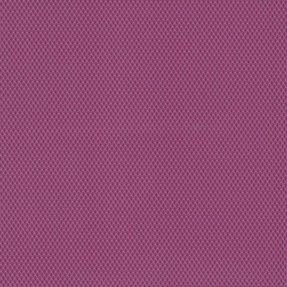 C OD SANTA MONICA Wildplum