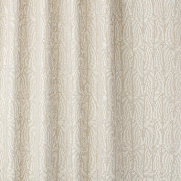 FRONDLY Chalk Drawing