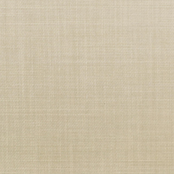 C MODERN TOUCH Mushroom