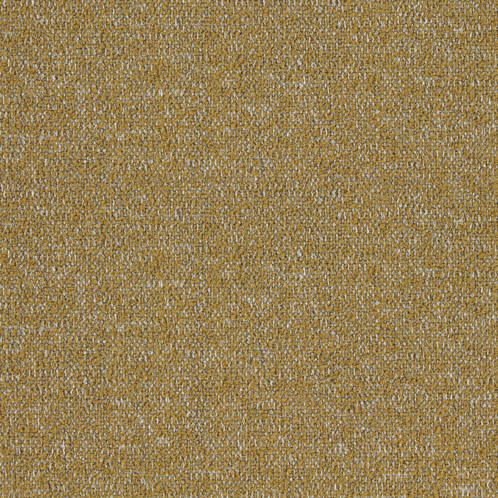 TWOTONE-MUSTARD