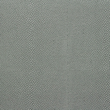 SHAGREEN-GULL