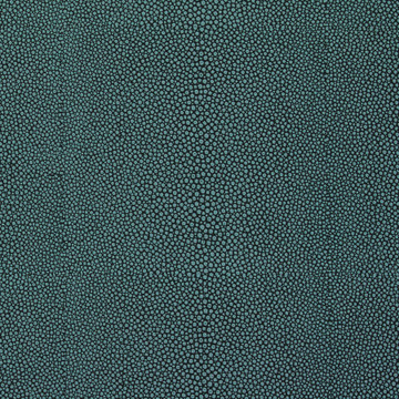 SHAGREEN-JUNGLE