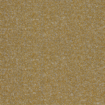 TWOTONE-MUSTARD