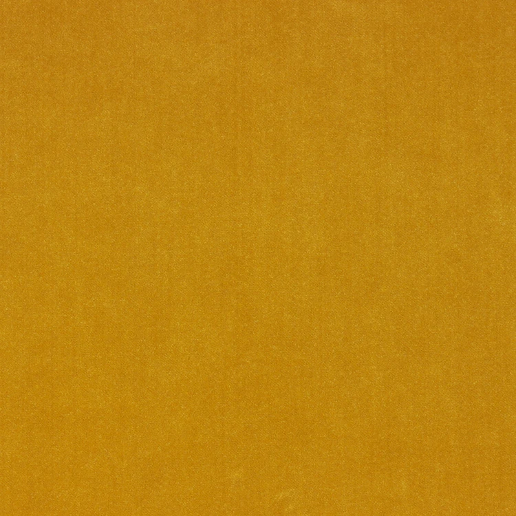 AYSHA ALTA-OCHRE