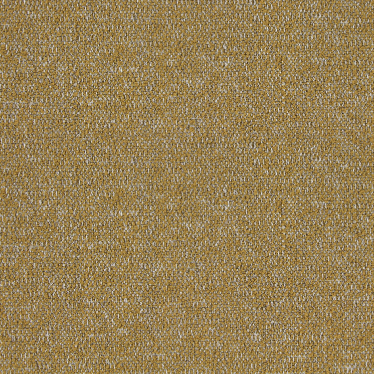 TWOTONE-MUSTARD