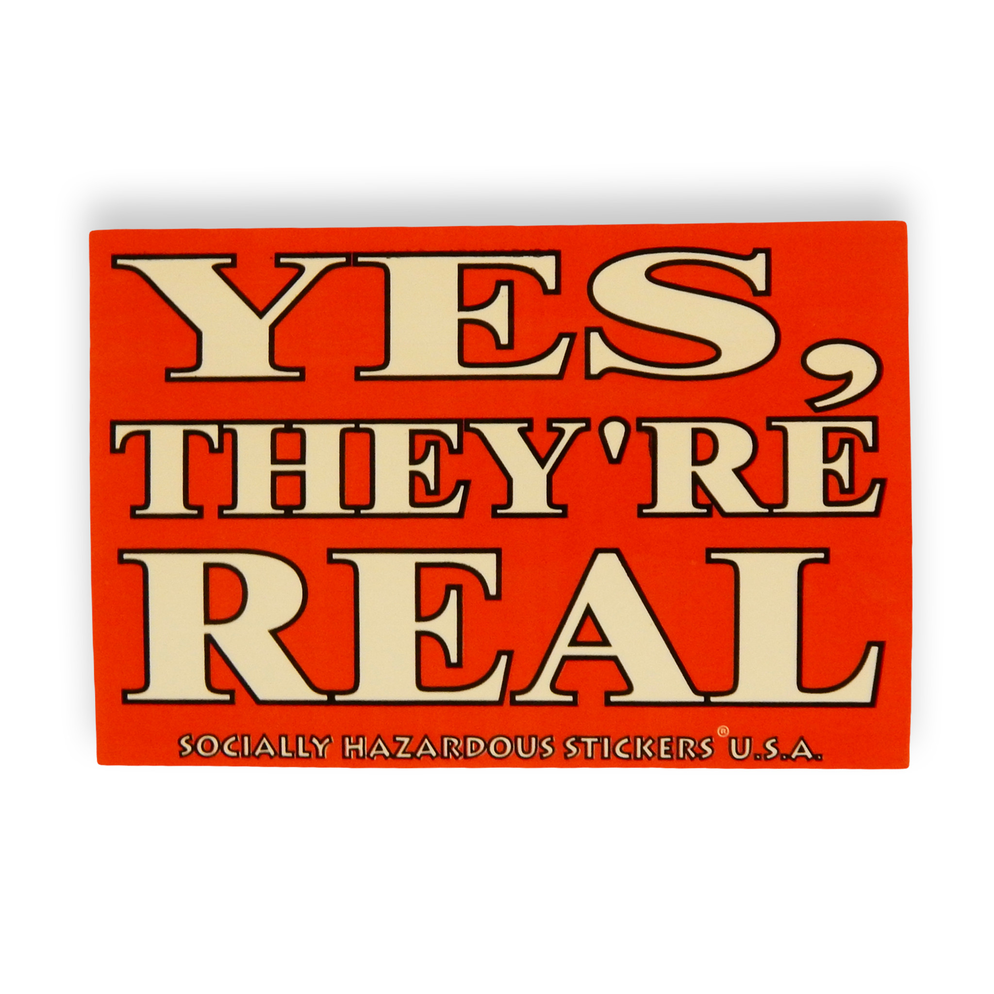 The Worst of the 90's Vintage Bumper Stickers 6"