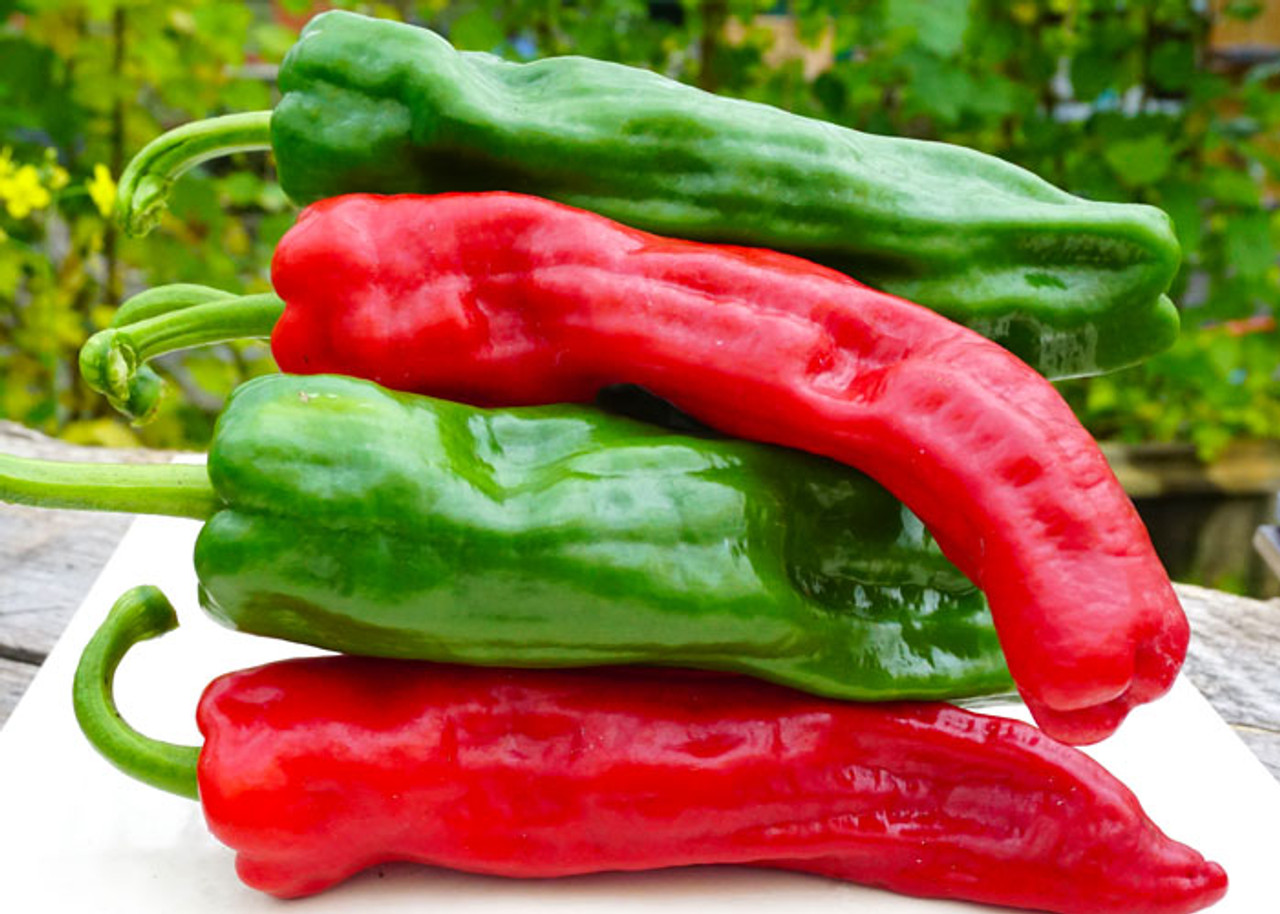 Red Pepper Da Dante Sapore Italiano Dulce Italiano