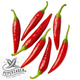 Targu Mures chili seeds