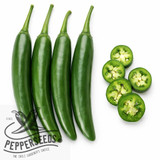 Serrano Altiplano chili seeds