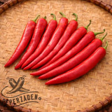 Hong Gochu Large peperzaden