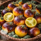 Wooly Kate Yellow tomato seeds