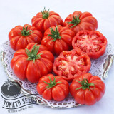 Rosso Sicilian tomato seeds