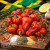 Scotch Bonnet Red chili seeds Scotch Bonnet Red chili seeds