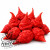 RB003 chili seeds