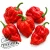 7 Pot Red peperzaden 7 Pot Red peperzaden