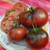 Black Prince tomato seeds Black Prince tomato seeds