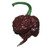 Carolina Reaper Chocolate chili seeds Carolina Reaper Chocolate chili seeds
