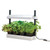 Micro Grow Light Garden van Garland Micro Grow Light Garden van Garland