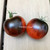 Indigo Dancing With Smurfs tomato seeds Indigo Dancing With Smurfs tomato seeds