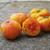 Virginia Sweets tomato seeds Virginia Sweets tomato seeds