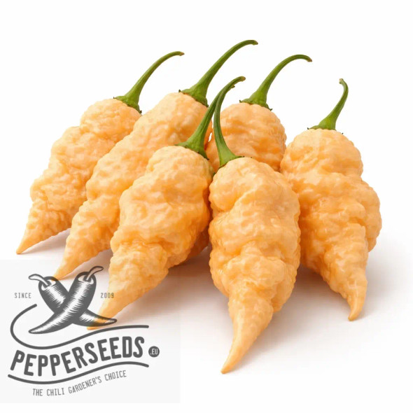 Tiberius Mauler Peach