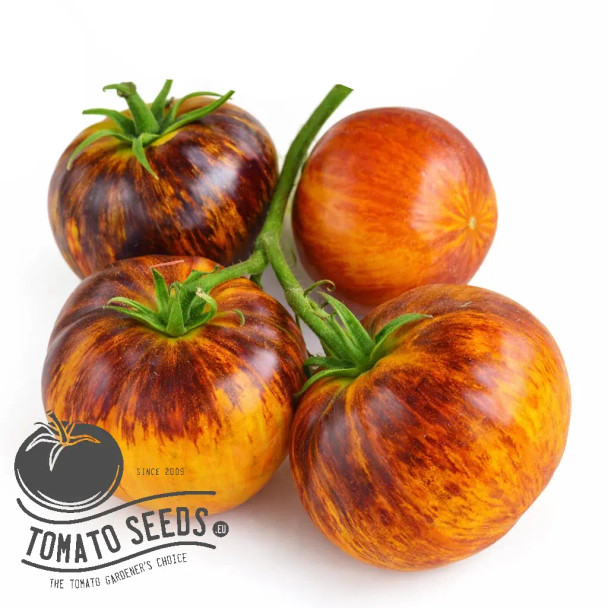 Alice's Dream tomato seeds