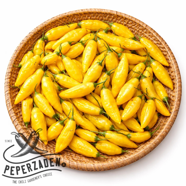 Limon Lightning peperzaden