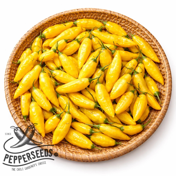 Limon Lightning chili seeds