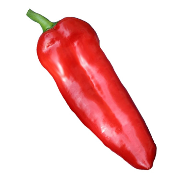 Marconi Red