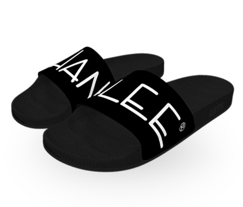 SL SLIDES