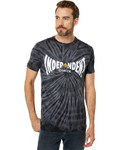 EMERICA X INDY SPAN TEE (6137000200)