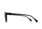 RAEN 54 WILEY POLARIZED SUNGLASSES (100M161WLY)