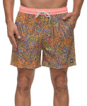 REEF DEELEY BOARDSHORT (3FMWH0410)