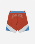 LOST CLOTHING REVERB BOARDSHORT (10801310)