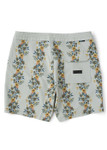 VISSLA VOODOO VINES MEN'S 17.5" BOARDSHORT (M101DVOO)