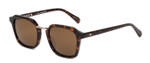 OTIS MODERN AVE SUNGLASSES (144-2102P)