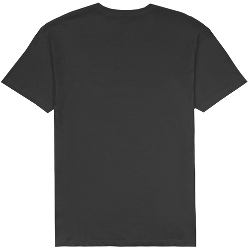 LOST CLOTHING LOCALS TEE (10500583)