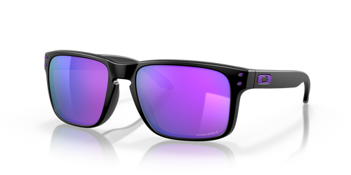 OAKLEY HOLBROOK PRIZM SUNGLASSES (0OO9102)