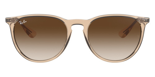 RAYBAN ERIKA SUNGLASSES- Catalyst