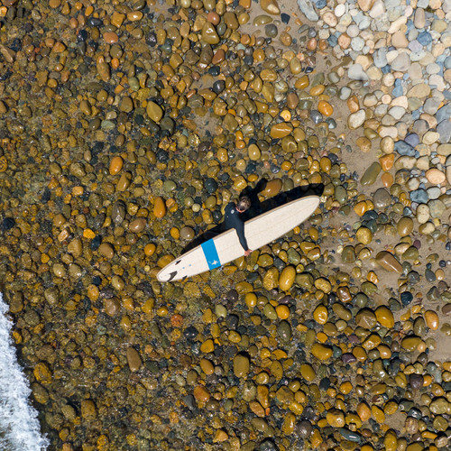 The Glide NFT Munoz The Glide NFT Munoz