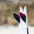 FIREWIRE TWIN MACHADO TWIN KEEL FIN DOUBLE TAB FINS (FINM-TKL-2F-2-O-RDBK)