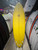 7'4 LOST SMOOTH OPERATOR SURFBOARD (289614)